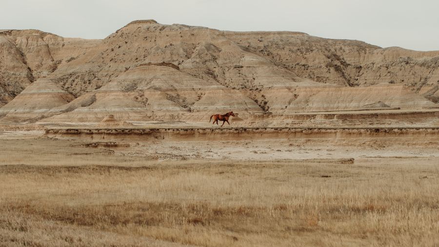 Badlands landscape with running horse — photographed by Eastman Childs